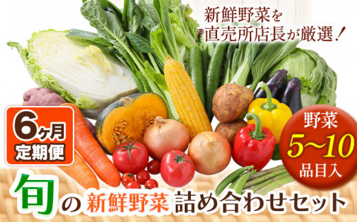 207.【6ヶ月定期便】旬の新鮮野菜詰め合わせセット 野菜5〜10品目入 青空市きらり《お申込み月の翌月から出荷開始》岡山県 矢掛町 野菜 野菜詰め合わせ トマト きゅうり アスパラガス 玉ねぎ リーキ 送料無料