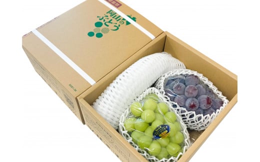 訳あり ニューピオーネ シャインマスカット 詰め合わせ 約1.2kg 2房《9月上旬〜10月中旬頃に出荷予定》