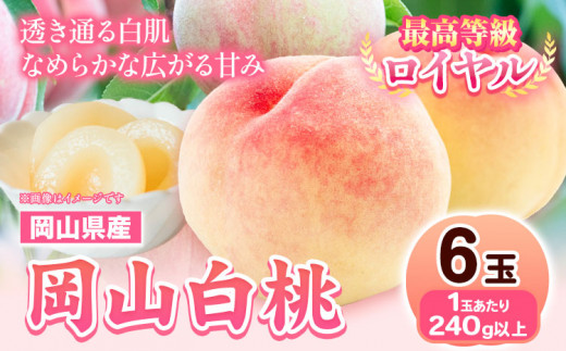 224. 【先行予約】岡山県産 岡山白桃  6玉 (240g以上)【配送不可地域あり】 《7月上旬-8月下旬頃出荷》 岡山県 矢掛町 桃 もも 白桃 果物