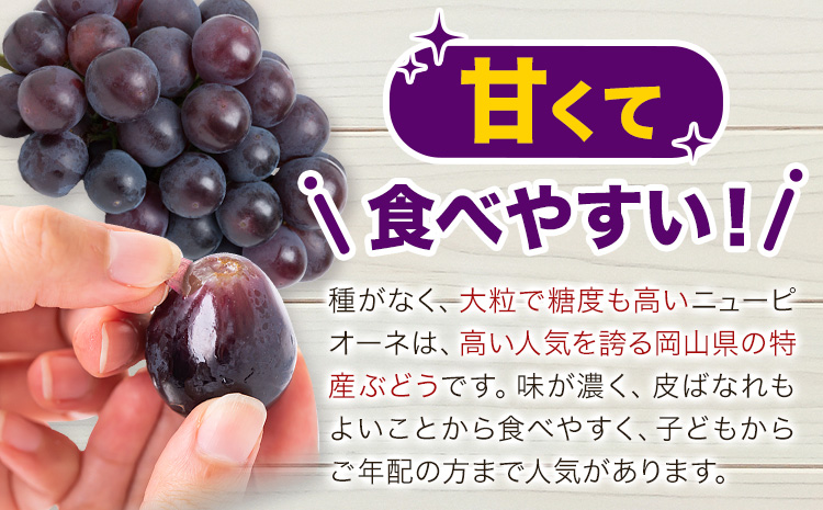 【2026年発送先行予約】ご家庭用 岡山県産 ニューピオーネ 1.2kg 2-3房 晴れの国おかやま館 《2026年9月上旬-10月上旬頃出荷》岡山県 矢掛町 葡萄 ぶどう 果物 スイーツ フルーツ デザート【配送不可地域あり】（離島）