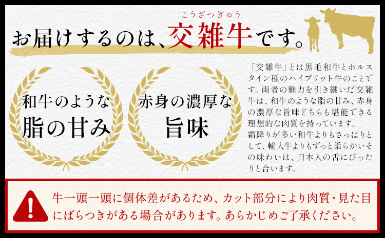 岡山県産牛 ステーキ サーロイン or リブ 交雑牛 1kg  お試し 大容量《60日以内に出荷予定(土日祝除く)》 岡山県 矢掛町 肉 ステーキ 高級部位 希少部位 グルメ お取り寄せグルメ
