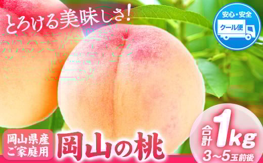 ã2026幎çºéå
è¡äºçŽã å²¡å±±ã®æ¡ çŽ1kg (3ã5ç)ã2026幎6æäžæ¬-9æäžæ¬é åºè·ã岡山ç ç¢æçº