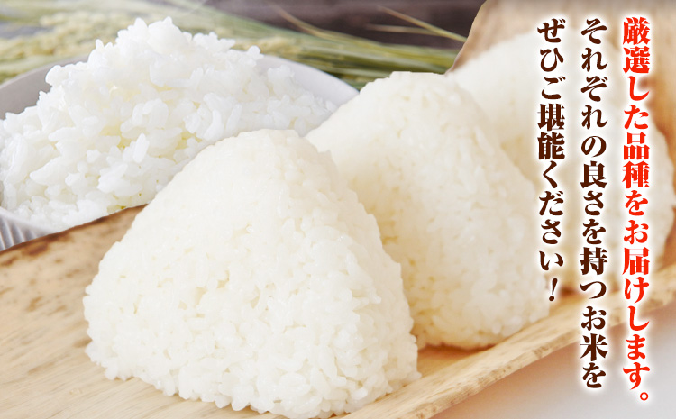 令和7年産 青空市きらり 5kg 岡山県産 (品種はお選びいただけません) 青空市きらり《30日以内に発送予定(土日祝除く)》岡山県 矢掛町 白米 精米 米 コメ