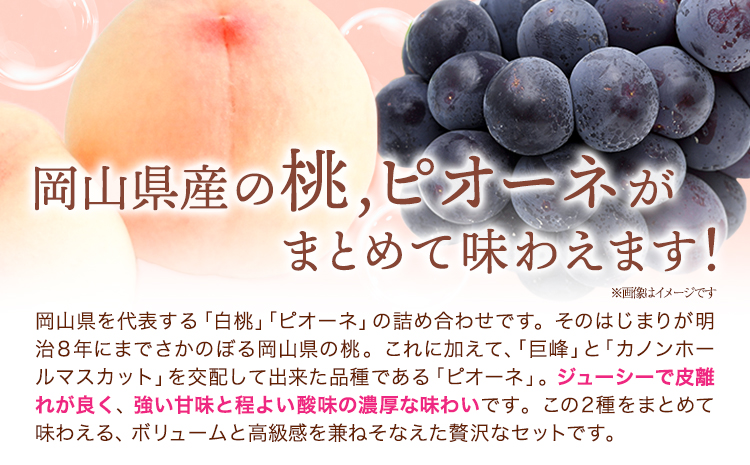 【2026年発送先行予約】 桃・ピオーネ詰め合わせ 約1kg クール便 冷蔵便 桃 もも 葡萄 ブドウ ぶどう ピオーネ フルーツ セット 晴れの国おかやま館 《2026年8月下旬-9月中旬頃出荷》 フルーツ 果物 果実 岡山県 矢掛町