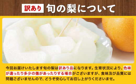 訳あり 岡山県産 旬の梨 約4kg 3〜10玉前後 梨 訳あり 優品 新高 愛宕 王秋梨 鴨梨 スイーツ フルーツ デザート 旬 岡山県矢掛町《9月上旬-1月末頃に出荷予定》数量限定