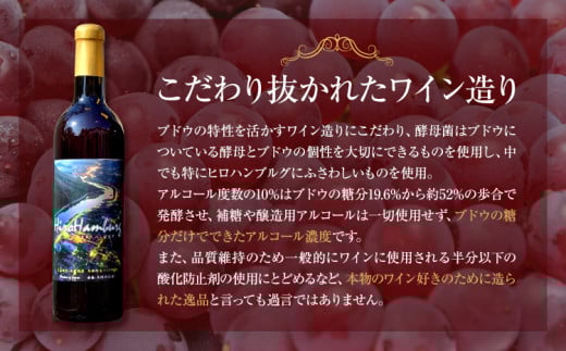 驟 譌・譛ャ繝ッ繧、繝ウ 750ml 1譛ャ 遏「謗帶叛騾 蟯。螻ア逵檎泙謗帷伴縲30譌・莉・蜀縺ォ蜃コ闕キ莠亥ョ(蝨滓律逾晞勁縺)縲 驟 繝ッ繧、繝ウ 蝗ス逕」 繝偵Ο繝上Φ繝悶Ν繧ー 襍、繝ッ繧、繝ウ 蝗ス逕」 繝悶ラ繧ヲ 100シ