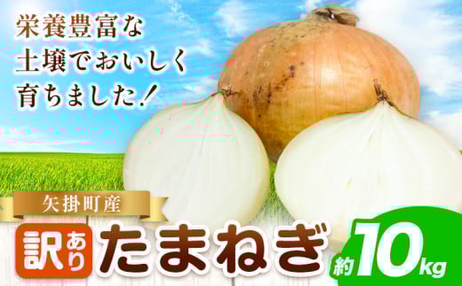 玉ねぎ 矢掛町産 訳あり 玉ねぎ 約10kg  《5月末〜7月中旬頃に出荷予定》 約 10kg 野菜 岡山県 矢掛町 たまねぎ 大きさ不揃い 訳ありたまねぎ
