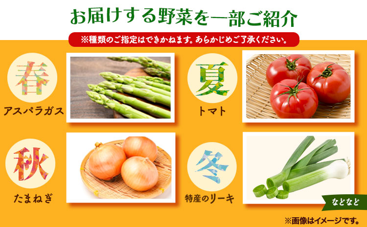 旬の新鮮野菜とお米詰め合わせセット 野菜5～10品目入 青空市きらり《30日以内に出荷予定》岡山県 矢掛町 野菜 野菜詰め合わせ 米 米3kg トマト きゅうり アスパラガス 玉ねぎ リーキ 送料無料