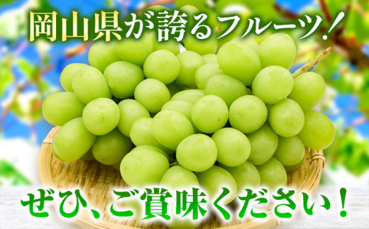 254.ãå
è¡äºçŽã 岡山çç£ ã·ã£ã€ã³ãã¹ã«ãã 2æ¿ (480g以äž) ãé
éäžå¯å°åããã ã7æäžæ¬-8æäžæ¬é åºè·ã 岡山ç ç¢æçº ãã¹ã«ãã ã¶ã©ã è¡è æç© ãã«ãŒã