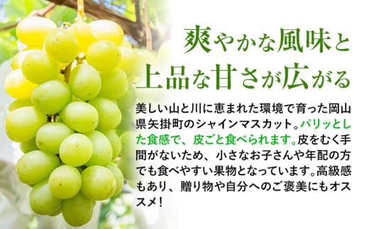 岡山çç£ ã·ã£ã€ã³ãã¹ã«ãã çŽ2kg ç¢æGrape Fairiesã9æäžæ¬-10ææ«é åºè·ã岡山ç ç¢æçº è¡è ãã¹ã«ãã æç© ã¹ã€ãŒã ãã«ãŒã ãã¶ãŒã