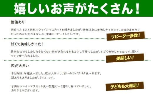 【2026年発送先行予約】厳選 シャインマスカット 約1.3kg 2-3房《2026年9月上旬-11月中旬頃に出荷予定》ぶどう 種なし ぶどう 岡山 ぶどう 先行予約 ぶどう シャインマスカット 大粒 シャインマスカット シャインマスカット 岡山 シャインマスカット ぶどう 