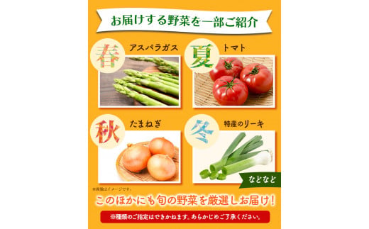 132. 旬の新鮮野菜詰め合わせセット 野菜5〜10品目入 青空市きらり《30日以内に出荷予定》 岡山県 矢掛町 野菜 野菜詰め合わせ トマト きゅうり アスパラガス 玉ねぎ リーキ 送料無料