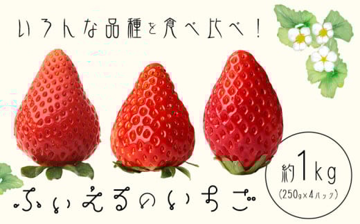 いちご 章姫 晴苺 紅ほっぺ 約1kg(約250g×4P) ふぃえる《1月上旬〜4月中旬頃出荷予定》岡山県 矢掛町産 苺 果物 フルーツ ふぃえる