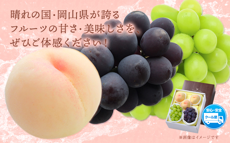 ã2026幎çºéå
è¡äºçŽãæ¡ ã·ã£ã€ã³ãã¹ã«ãã ããªãŒã è©°ãåãã çŽ1.8kg ã¯ãŒã«äŸ¿ å·èµäŸ¿ æ¡ ãã è¡è ãã㊠ã¶ã©ã ãã¹ã«ãã ãã«ãŒã ã»ãã å
è¡äºçŽ æŽãã®åœããããŸé€š ã2026幎8æäžæ¬-9æäžæ¬é åºè·ã ãã«ãŒã æç© æå® 岡山ç ç¢æçº