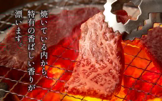 赤身 焼肉 650g 数量限定 牛肉 冷凍 黒毛和牛 《30日以内に出荷予定(土日祝除く)》 個別 取分け 小分け 個包装 赤身 岡山県 矢掛町 牛 牛肉 和牛 焼き肉 グルメ 小分け 小分けパック 送料無料