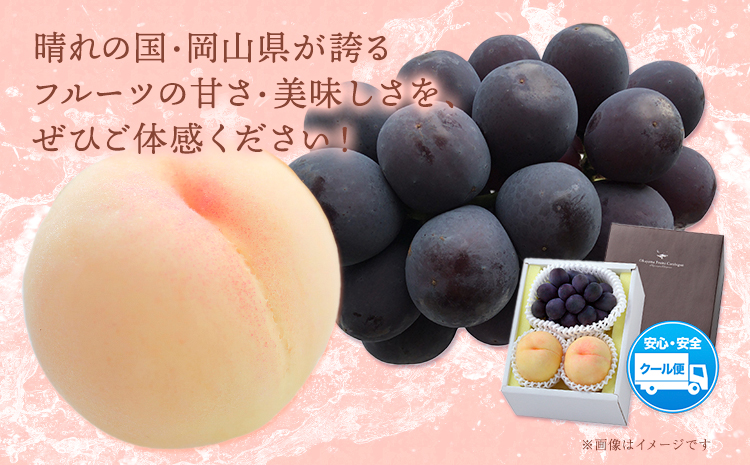 【2026年発送先行予約】 桃・ピオーネ詰め合わせ 約1kg クール便 冷蔵便 桃 もも 葡萄 ブドウ ぶどう ピオーネ フルーツ セット 晴れの国おかやま館 《2026年8月下旬-9月中旬頃出荷》 フルーツ 果物 果実 岡山県 矢掛町