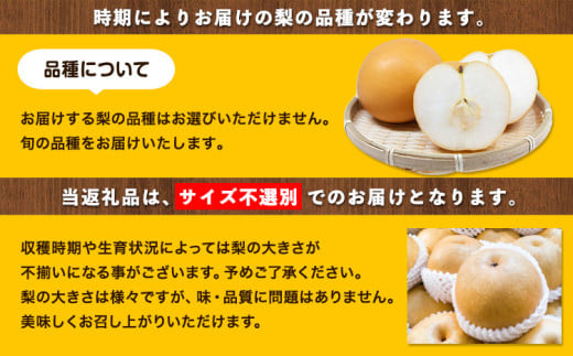 岡山県産 秀品 旬の梨 約2.5kg 2~6玉前後 梨 秀品 新高 愛宕 スイーツ フルーツ デザート 旬 岡山県矢掛町《9月上旬-1月末頃に出荷予定》