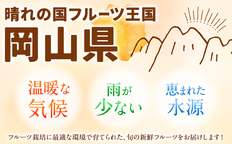 岡山県産 旬の 人気 くだもの おためし 定期便 全2回 桃 合計1kg シャインマスカット 合計650g 《7月上旬～11月中旬頃より発送予定》フルーツ 果物 定期便 先行予約 お取り寄せ デザート フルーツ定期便 果物定期便 くだもの定期便 送料無料
