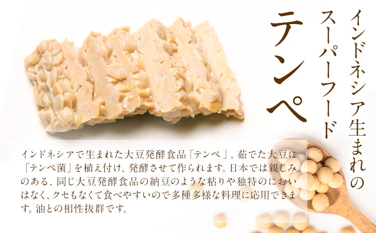 テンペ健康セットA 5個セット 矢掛テンペ 《30日以内に出荷予定(土日祝除く)》 粉末テンペ コロッケ 大豆 発酵食品 スーパーフード 岡山県矢掛町産 発酵亭