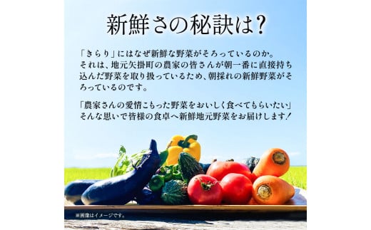 207.【6ヶ月定期便】旬の新鮮野菜詰め合わせセット 野菜5〜10品目入 青空市きらり《お申込み月の翌月から出荷開始》岡山県 矢掛町 野菜 野菜詰め合わせ トマト きゅうり アスパラガス 玉ねぎ リーキ 送料無料
