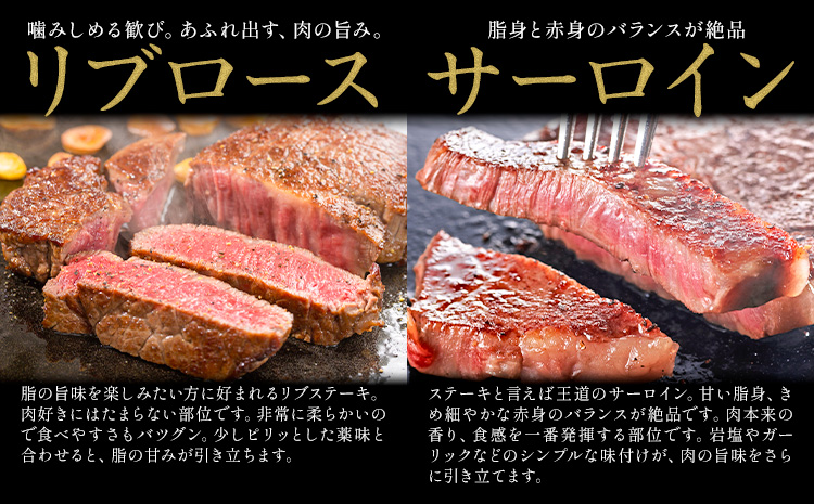岡山県産牛 ステーキ サーロイン or リブ 交雑牛 1kg  お試し 大容量《60日以内に出荷予定(土日祝除く)》 岡山県 矢掛町 肉 ステーキ 高級部位 希少部位 グルメ お取り寄せグルメ