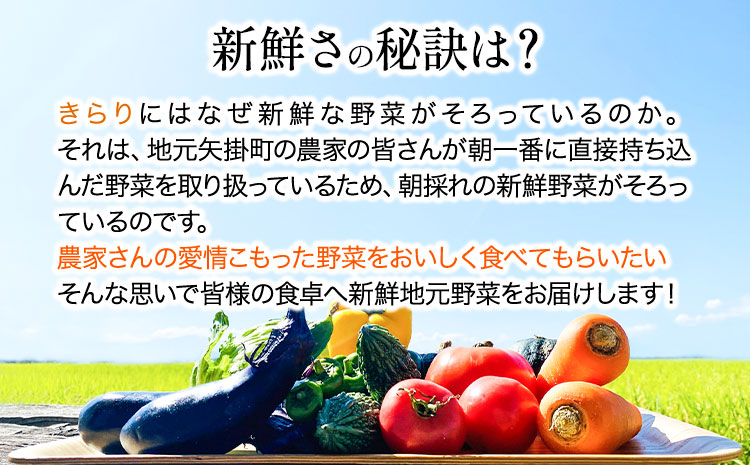 旬の新鮮野菜とお米詰め合わせセット 野菜5～10品目入 青空市きらり《30日以内に出荷予定》岡山県 矢掛町 野菜 野菜詰め合わせ 米 米3kg トマト きゅうり アスパラガス 玉ねぎ リーキ 送料無料