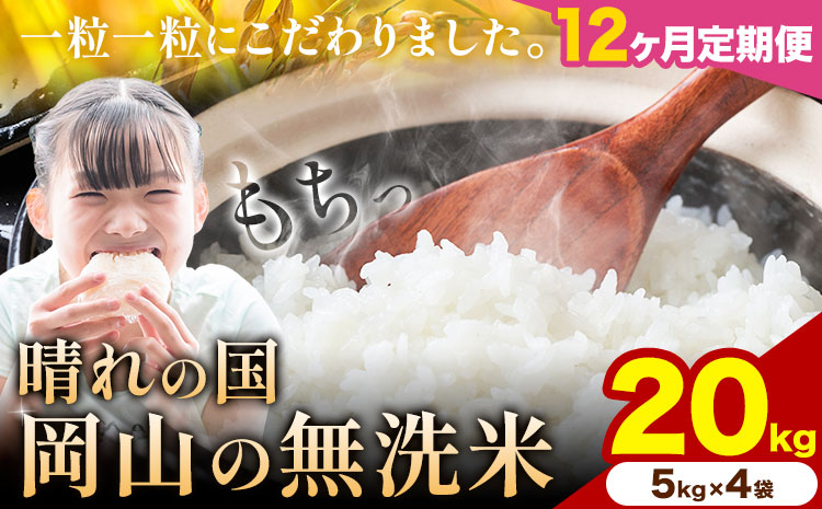 【12ヶ月定期便】晴れの国岡山の無洗米 20kg 岡山県産 矢掛町《申し込み翌月から発送》米 コメ