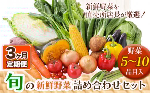 206.【3ヶ月定期便】旬の新鮮野菜詰め合わせセット 野菜5〜10品目入 青空市きらり《お申込み月の翌月から出荷開始》岡山県 矢掛町 野菜 野菜詰め合わせ トマト きゅうり アスパラガス 玉ねぎ リーキ 送料無料