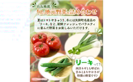 207.【6ヶ月定期便】旬の新鮮野菜詰め合わせセット 野菜5〜10品目入 青空市きらり《お申込み月の翌月から出荷開始》岡山県 矢掛町 野菜 野菜詰め合わせ トマト きゅうり アスパラガス 玉ねぎ リーキ 送料無料