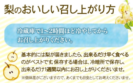 【2026年発送先行予約】 産地直送 愛宕梨 約1.4kg(2玉前後) 水車の里フルーツトピア 期間限定 岡山県矢掛町産 なし 果物 スイーツ フルーツ デザート《2026年12月上旬-2月上旬頃出荷》 梨