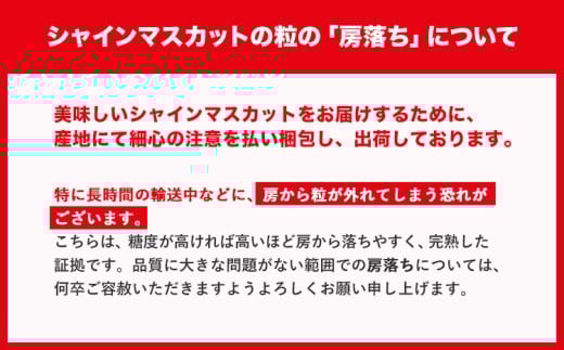 遘蜩 繧キ繝」繧、繝ウ繝槭せ繧ォ繝繝 邏600g 1謌ソ縲9譛井ク頑流-11譛井ク頑流鬆蜃コ闕キ縲 st-p