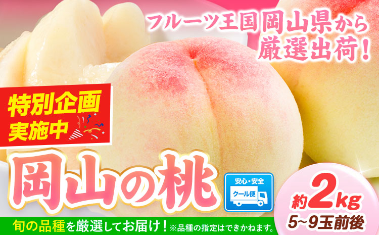 桃 岡山県産 岡山の桃 約2kg [1-5営業日以内に出荷(土日祝除く)] ご家庭用 訳あり 白桃 岡山 白桃 はくとう スイーツ フルーツ 果物 デザート 旬 岡山県 矢掛町 モモ もも 送料無料 清水白桃 白鳳 白麗