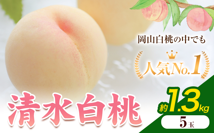 【2026年発送先行予約】清水白桃 5玉 1.3kg 内容量 晴れの国おかやま館《2026年7月下旬-8月上旬頃出荷》 白桃 フルーツ 果物 岡山県 矢掛町 桃 モモ もも 送料無料
