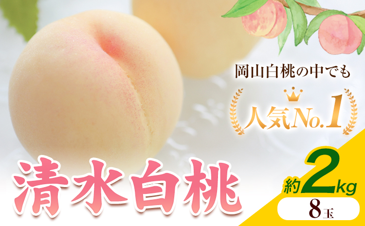 【2026年発送先行予約】清水白桃 8玉 約2kg 晴れの国おかやま館《2026年7月下旬-8月上旬頃出荷》 白桃 フルーツ 果物 岡山県 矢掛町 桃 モモ もも 送料無料