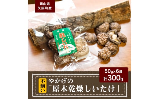 9. やかげの「原木乾燥しいたけ」 不揃い 備中南森林組合 岡山県矢掛産《60日以内に出荷予定(土日祝除く)》