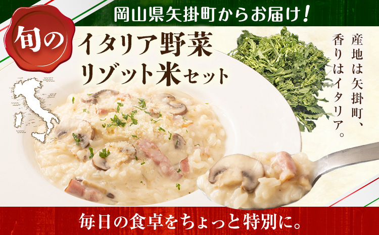 驥手除 邀ウ 譌ャ縺ョ 繧、繧ソ繝ェ繧「驥手除 2蜩∫岼 繝ェ繧セ繝繝育アウ 1kg 繧サ繝繝 縲1譛井ク頑流-3譛域忰鬆蜃コ闕キ縲徽A譎エ繧後ョ蝗ス 遏「謗帙い繧ー繝ェ繧サ繝ウ繧ソ繝シ 驥手除 縺ュ縺 繝阪ぐ 蝗ス逕」 繧、繧ソ繝ェ繧「 繝ェ繝シ繧ュ 繝励Ξ繧ウ繝シ繝√ぉ 繧ォ繧ソ繝ュ繝シ繝九Ε 隘ソ豢 繝ェ繧セ繝繝 騾∵侭辟。譁