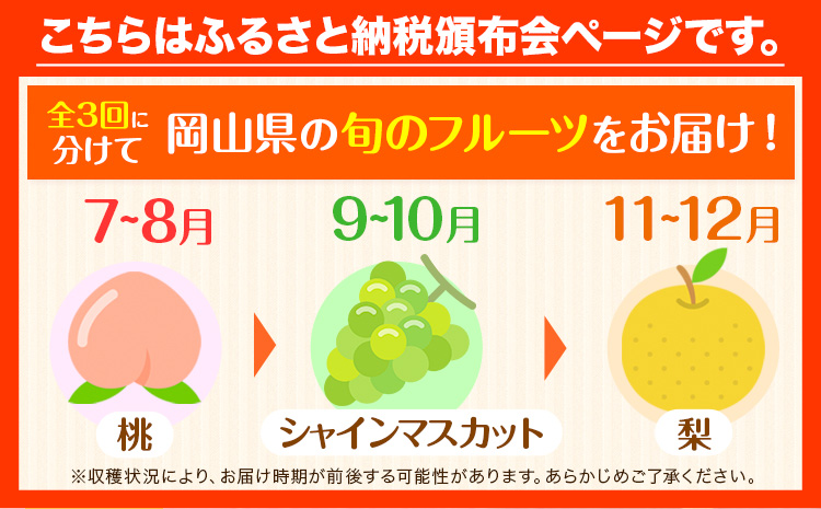 岡山県 旬のフルーツ定期便 全3回 桃 約1.3kg(4～8玉前後) シャインマスカット 約1.3kg (2房) 旬の梨 約1.8kg (2～5玉前後) 訳あり《7月上旬～12月末頃出荷》優品 フルーツ 果物 ご家庭用 定期便 お取り寄せ デザート