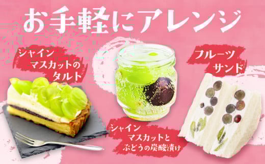 岡山çç£ ã·ã£ã€ã³ãã¹ã«ãã çŽ2kg ç¢æGrape Fairiesã9æäžæ¬-10ææ«é åºè·ã岡山ç ç¢æçº è¡è ãã¹ã«ãã æç© ã¹ã€ãŒã ãã«ãŒã ãã¶ãŒã