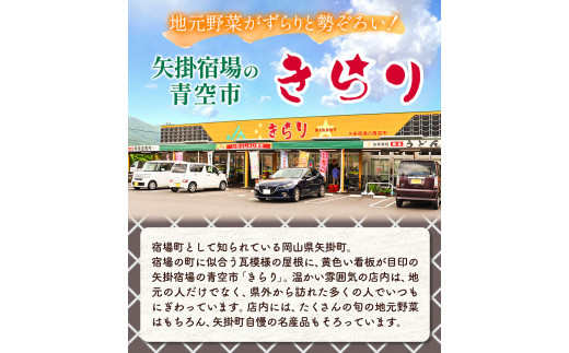 132. 旬の新鮮野菜詰め合わせセット 野菜5〜10品目入 青空市きらり《30日以内に出荷予定》 岡山県 矢掛町 野菜 野菜詰め合わせ トマト きゅうり アスパラガス 玉ねぎ リーキ 送料無料