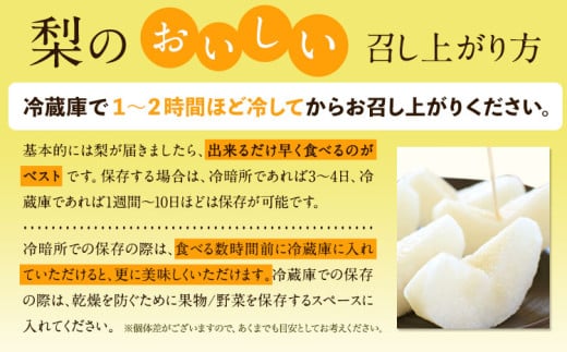 岡山県産 秀品 旬の梨 約4kg 3〜10玉前後 梨 秀品 新高 愛宕 スイーツ フルーツ デザート 旬 岡山県矢掛町《9月上旬-1月末頃に出荷予定》