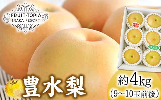 産地直送 豊水梨 約4kg (9~10玉前後) 水車の里フルーツトピア 期間限定 岡山県 矢掛町産 なし 果物 スイーツ フルーツ デザート《9月上旬-10月上旬頃出荷》