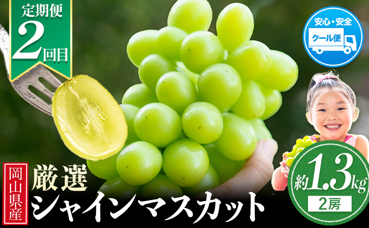 岡山県 旬のフルーツ定期便 全3回 桃 約1.3kg(4～8玉前後) シャインマスカット 約1.3kg (2房) 旬の梨 約1.8kg (2～5玉前後) 訳あり《7月上旬～12月末頃出荷》優品 フルーツ 果物 ご家庭用 定期便 お取り寄せ デザート