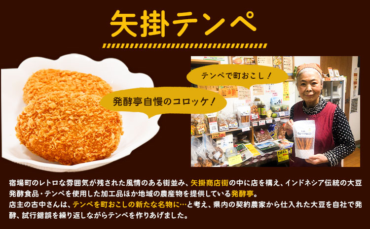 テンペ健康セットA 5個セット 矢掛テンペ 《30日以内に出荷予定(土日祝除く)》 粉末テンペ コロッケ 大豆 発酵食品 スーパーフード 岡山県矢掛町産 発酵亭