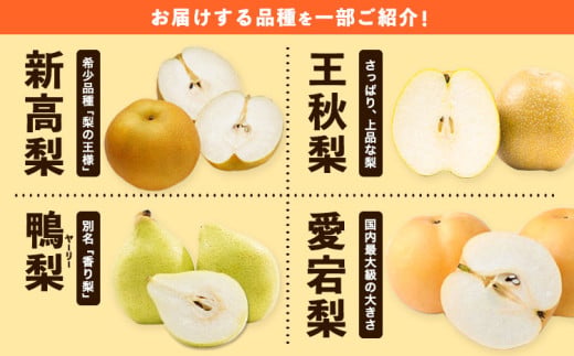 訳あり 岡山県産 旬の梨 約4kg 3〜10玉前後 梨 訳あり 優品 新高 愛宕 王秋梨 鴨梨 スイーツ フルーツ デザート 旬 岡山県矢掛町《9月上旬-1月末頃に出荷予定》数量限定
