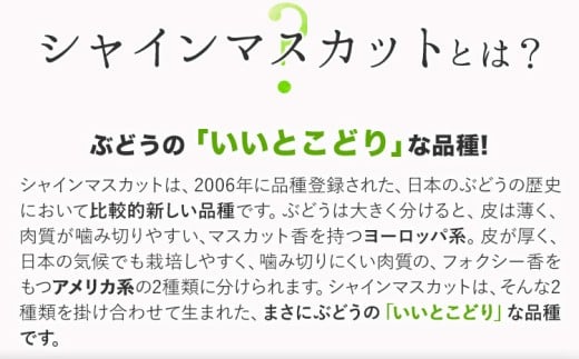 遘蜩 繧キ繝」繧、繝ウ繝槭せ繧ォ繝繝 邏600g 1謌ソ縲9譛井ク頑流-11譛井ク頑流鬆蜃コ闕キ縲 st-p