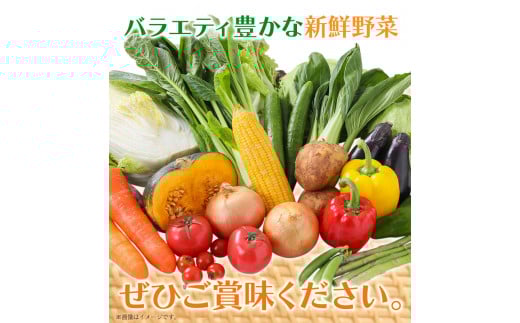 208.【12ヶ月定期便】旬の新鮮野菜詰め合わせセット 野菜5〜10品目入 青空市きらり《お申込み月の翌月から出荷開始》岡山県 矢掛町 野菜 野菜詰め合わせ トマト きゅうり アスパラガス 玉ねぎ リーキ 送料無料