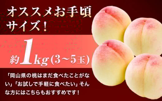 ã2026幎çºéå
è¡äºçŽã å²¡å±±ã®æ¡ çŽ1kg (3ã5ç)ã2026幎6æäžæ¬-9æäžæ¬é åºè·ã岡山ç ç¢æçº