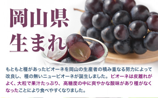 255.ãå
è¡äºçŽã 岡山çç£ ãã¥ãŒããªãŒã 2æ¿ 480gä»¥äž ããŠã¹æ œå¹ è¡è æç© å³éžåºè· ã¹ã€ãŒã ãã«ãŒã ãã¶ãŒã 岡山çç¢æçºã7æäžæ¬-8æäžæ¬é åºè·ã çš®ãªãã¶ã©ã ãé
éäžå¯å°åããã