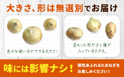 玉ねぎ 矢掛町産 訳あり 玉ねぎ 約2kg《5月末〜7月中旬頃に出荷予定》 約 2kg 野菜 岡山県 矢掛町 五千円以下 たまねぎ 大きさ不揃い 訳ありたまねぎ