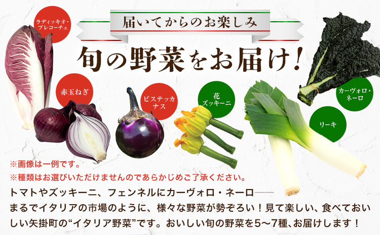 éè æ¬ã® ã€ã¿ãªã¢éè ã»ãã 5ïœ7çš® ã11æäžæ¬-3æäžæ¬é åºè·ãJAæŽãã®åœ ç¢æã¢ã°ãªã»ã³ã¿ãŒ éè ãã ãã® åœç£ ã€ã¿ãªã¢ ãªãŒã ãã¬ã³ãŒãã§ ã«ã¿ããŒã㣠ã«ãŒã³ã© ãºãããŒã ããã çãã è¥¿æŽ éæç¡æ